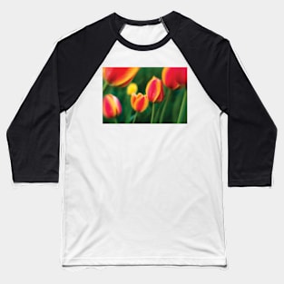 Tulips 1 Baseball T-Shirt